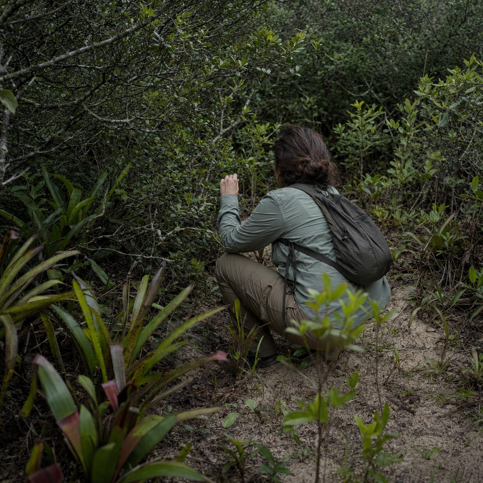 Trabalho de campo em ambiente natural, representando estudos e diagnósticos ambientais.